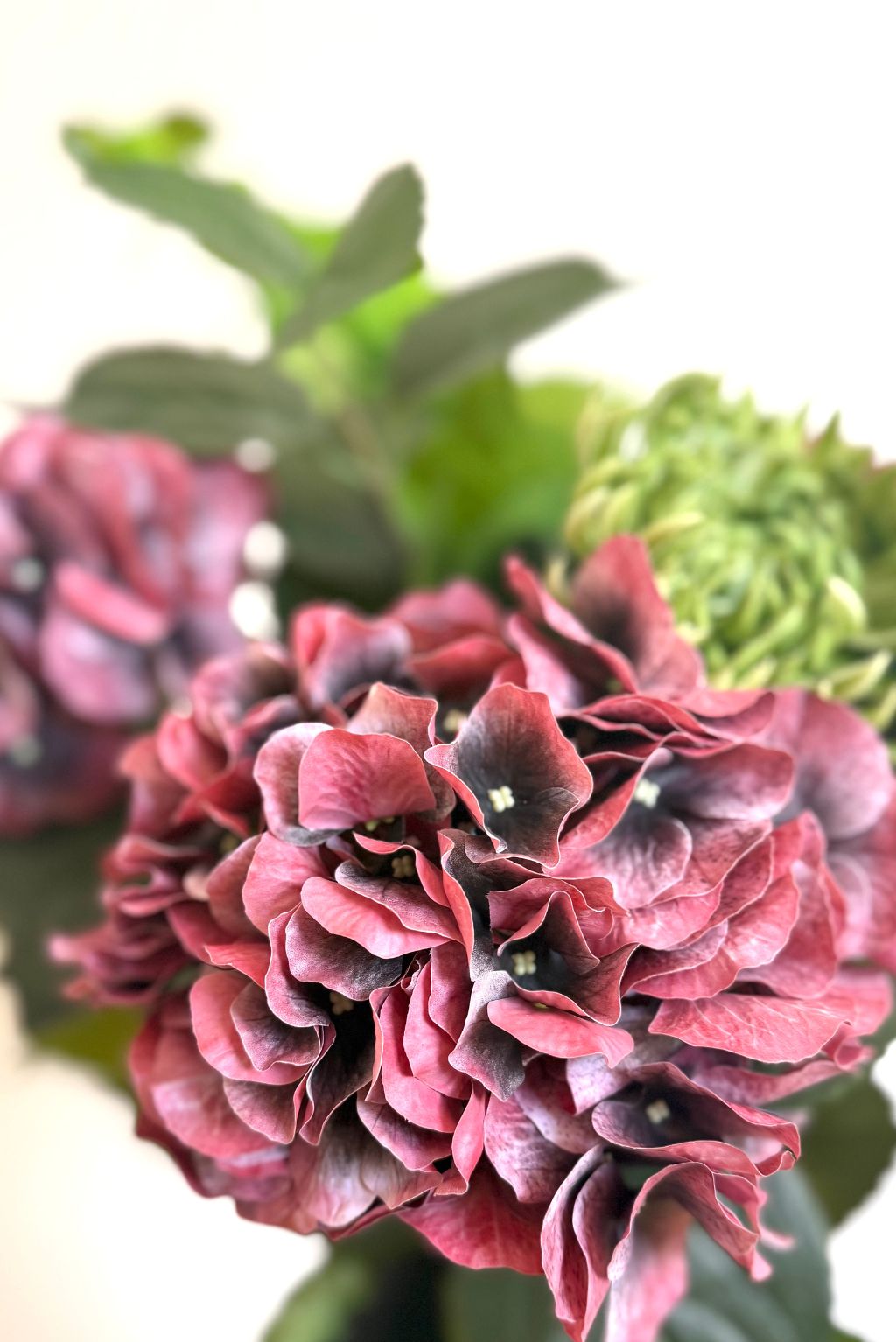 Les Bois d’Hortensia