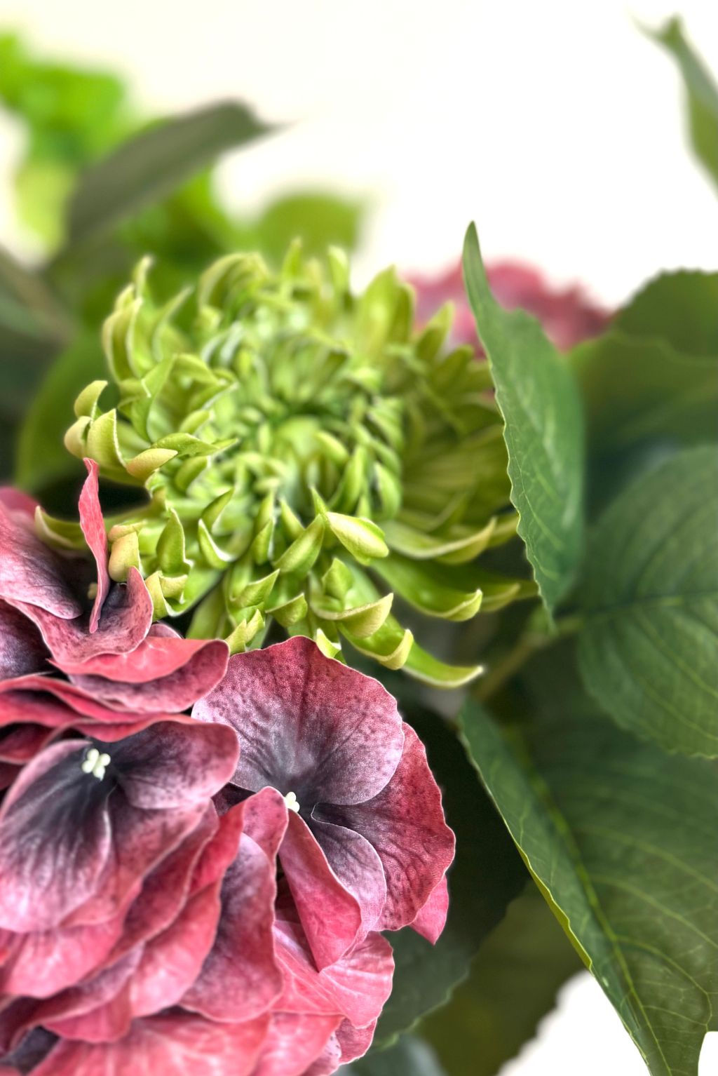 Les Bois d’Hortensia