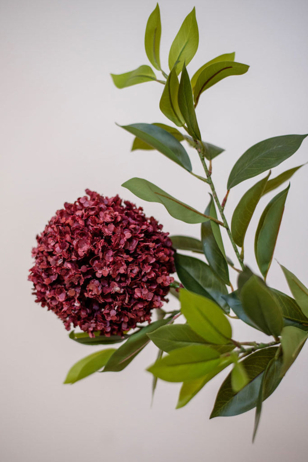 La cerise sur le gâteau