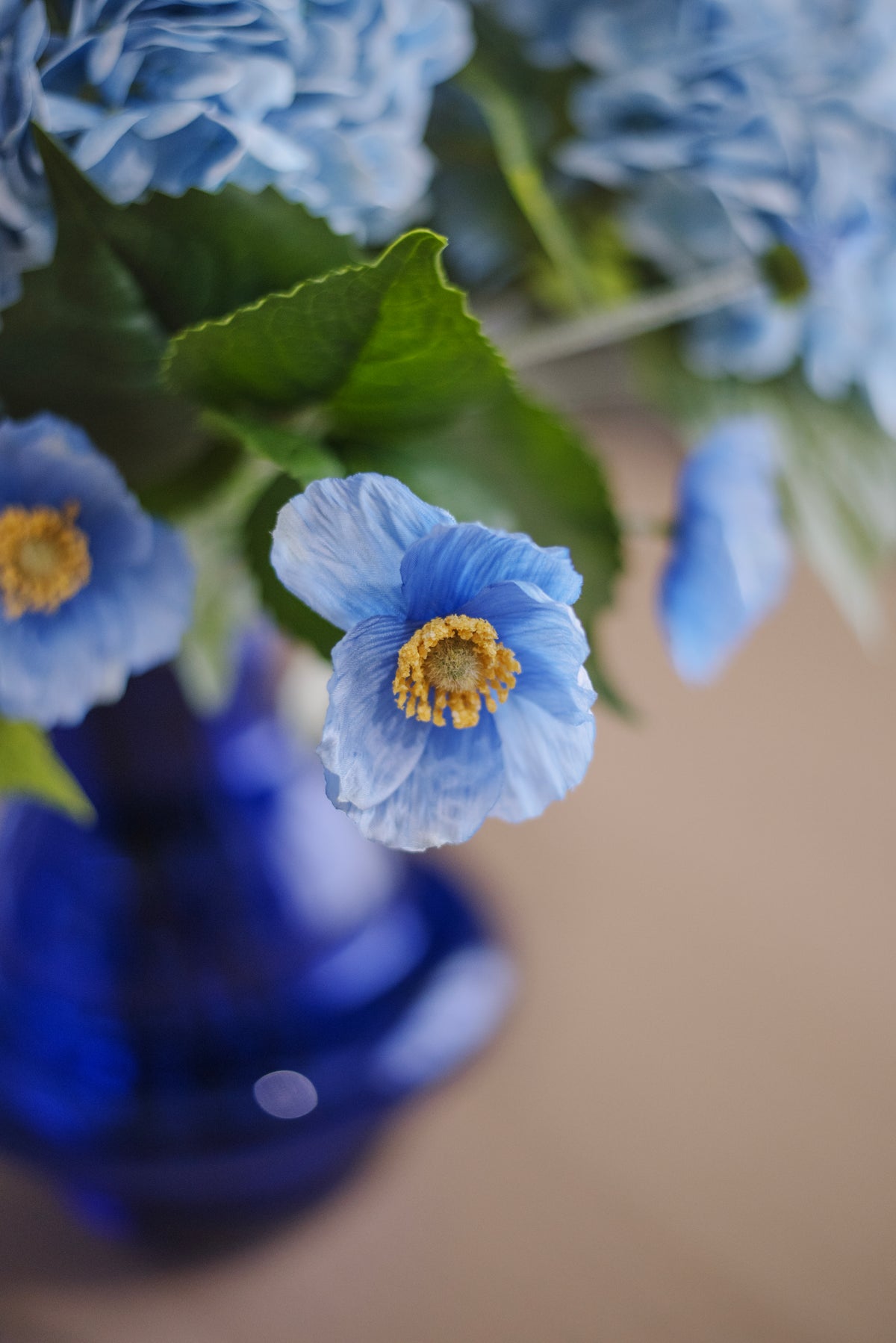 Bleu Majorelle