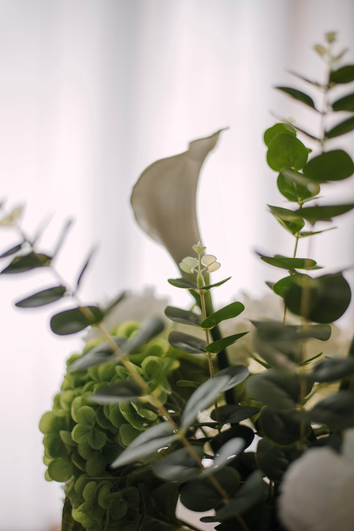 Jardin blanc