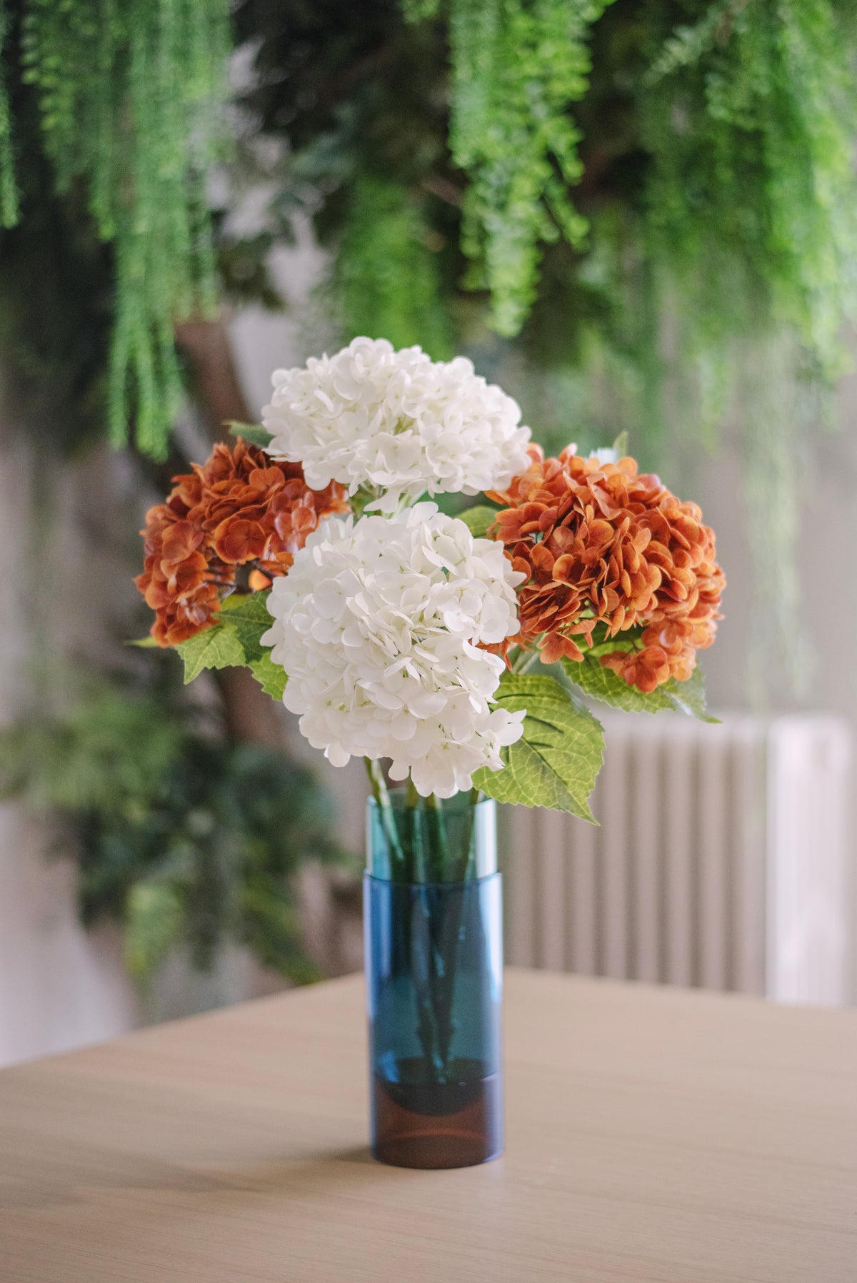 Hortensia d’automne