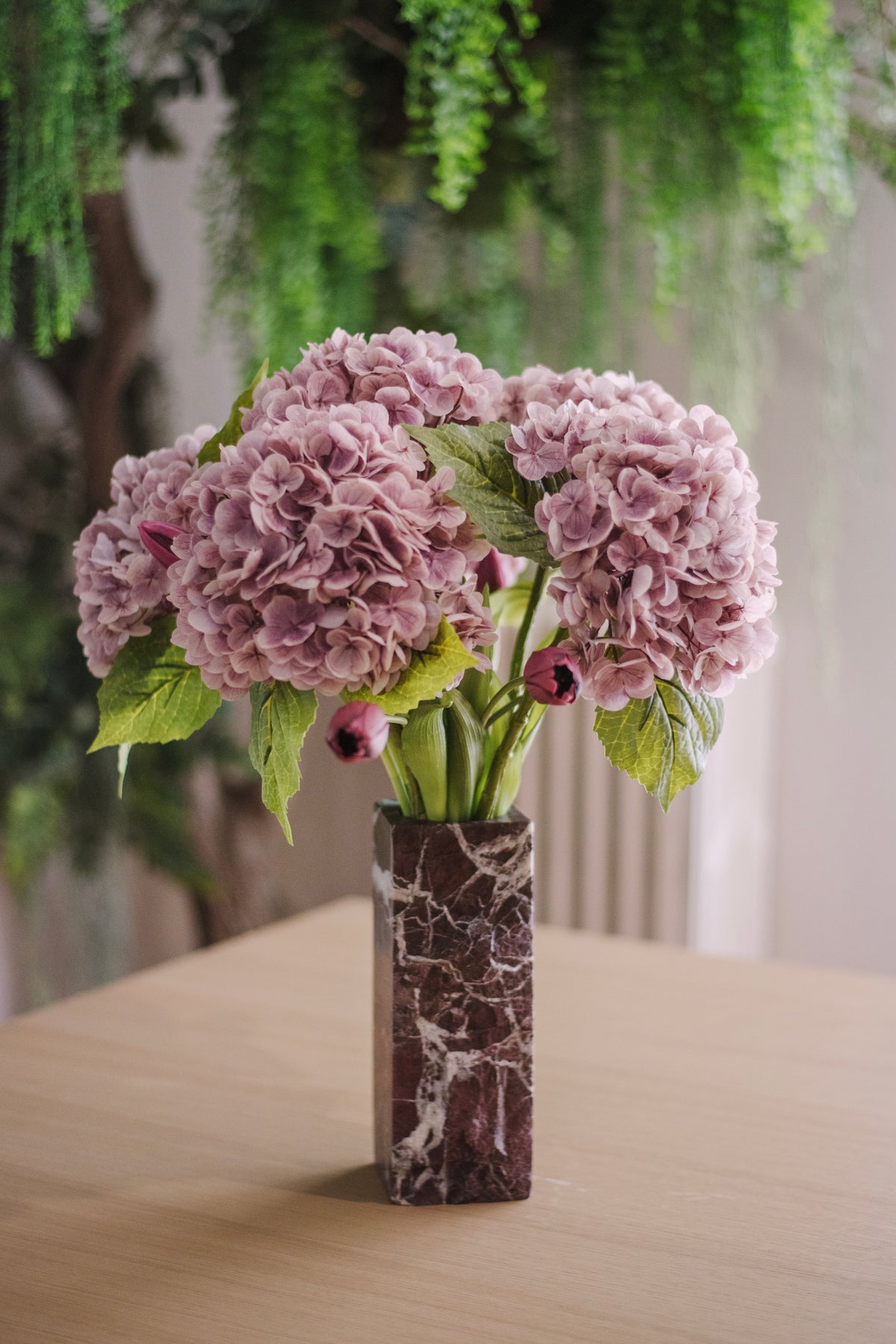 Hortensia poudré