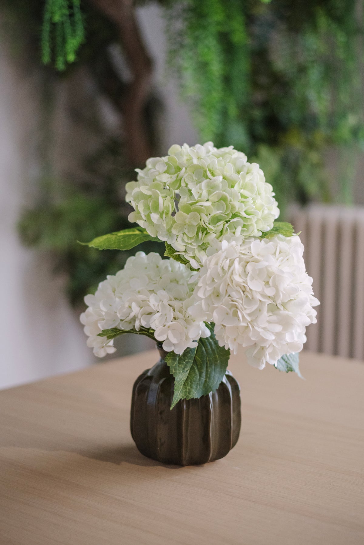 Nuage d’hortensias