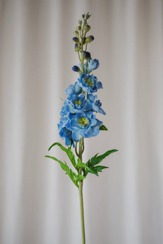 Fleur de delphinium bleu clair