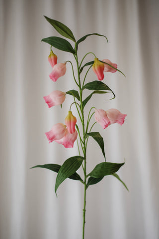 Lys lanternes chinoises roses
