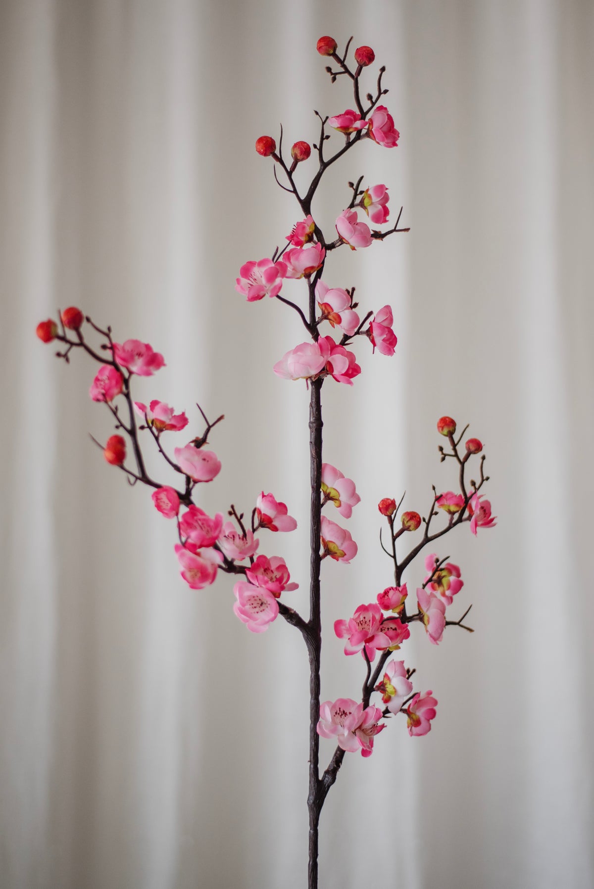 Branche de prunier en fleurs roses
