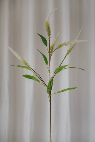 Mini amarante verte