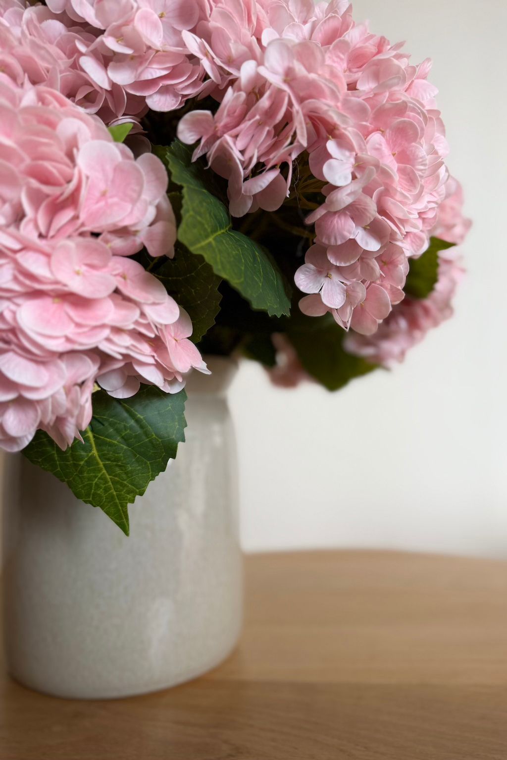 Les Roses d’Hortensia