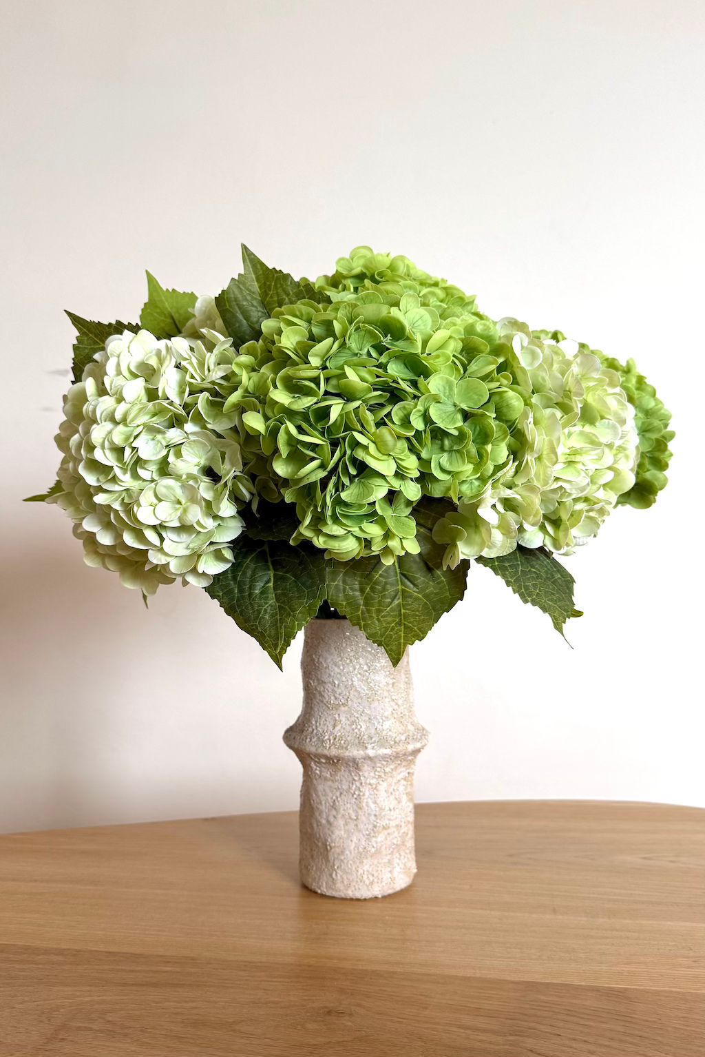Hortensias Verts